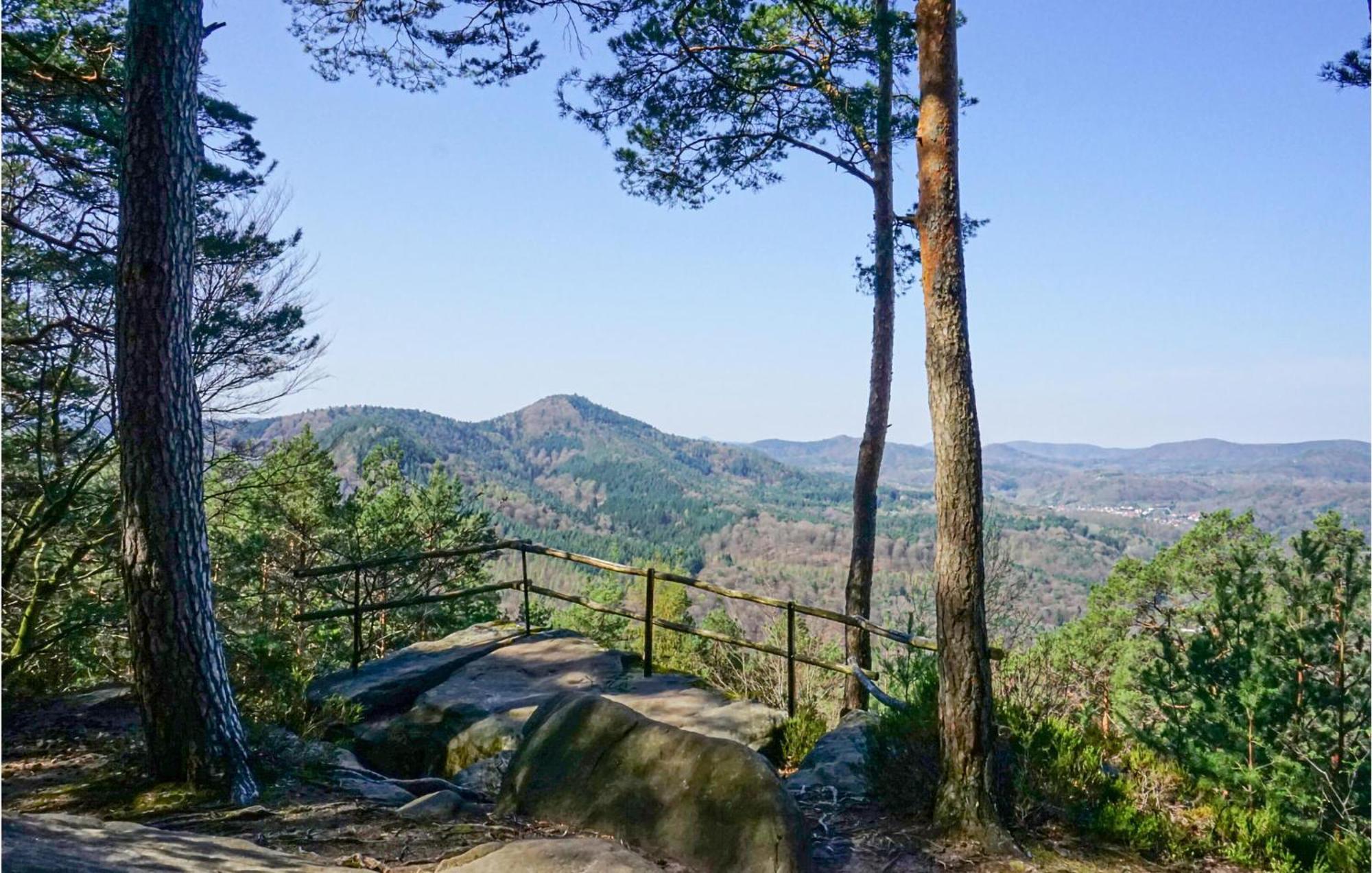 Amazing Apartment In Hinterweidenthal With Wifi 외부 사진